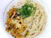 ボリュームメジャー級 冷しぶっかけうどん